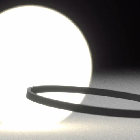 The edge of a ring is in focus.